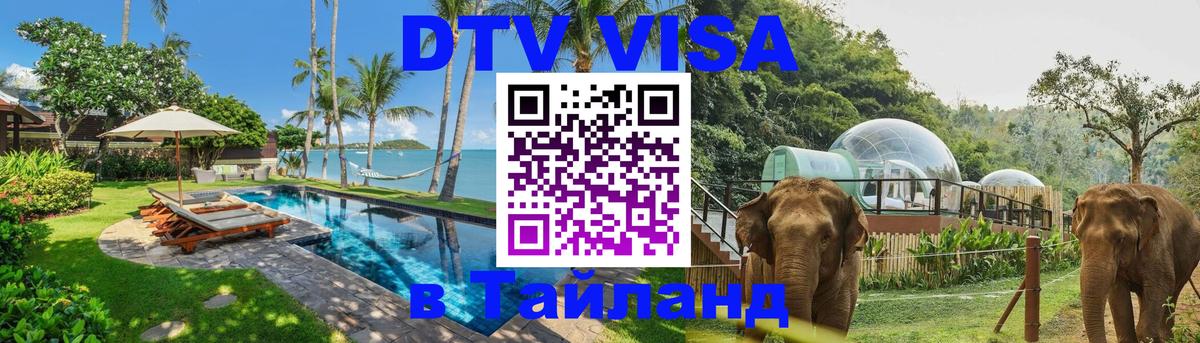 Сколько стоит DTV виза — актуальные цены, оформление даже без документов - Ярославль  19.11.2025 